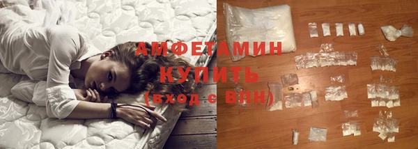 индика Новокубанск