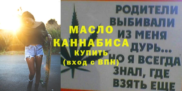 индика Новокубанск