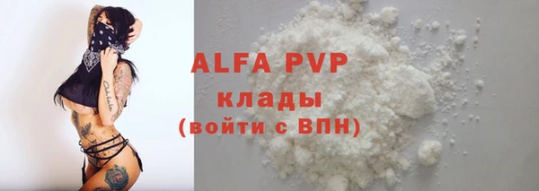 СК Белокуриха